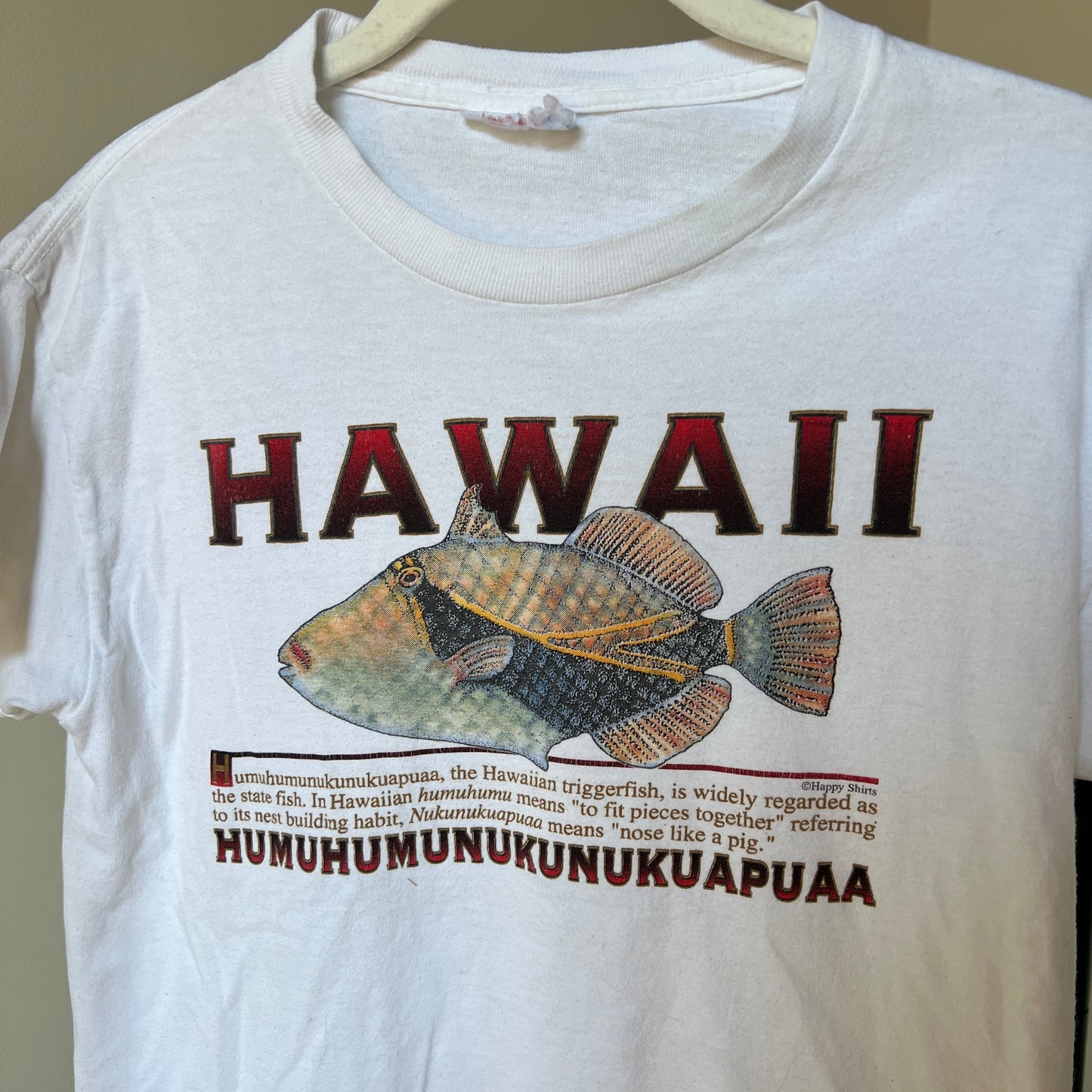 Hawaii Humuhumunukunukuapua'a Fish Tee